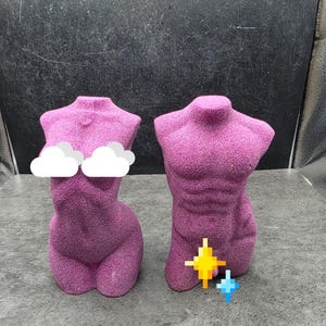 May include: Two textured magenta torso sculptures, one with a feminine silhouette and one with a masculine silhouette. The feminine figure features white cloud icons over the chest, while the masculine figure features star icons over the lower area.