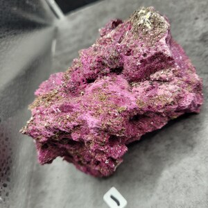 May include: A close-up of a vibrant, textured mineral specimen. The rock features a deep magenta hue with patches of gold and brown. The surface is rough and porous, showcasing the natural formation of the mineral. A small white tag with a black mark is in the foreground.
