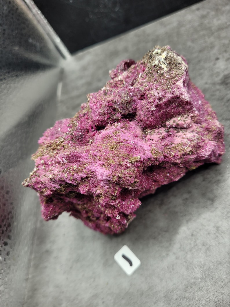 May include: A close-up of a vibrant, textured mineral specimen. The rock features a deep magenta hue with patches of gold and brown. The surface is rough and porous, showcasing the natural formation of the mineral. A small white tag with a black mark is in the foreground.