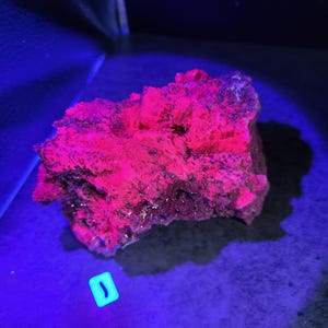 May include: A close-up of a rock formation illuminated by a black light, revealing vibrant pink and red fluorescence. The rock has a rough, textured surface with dark areas. A small, glowing, rectangular object is in the lower left corner.
