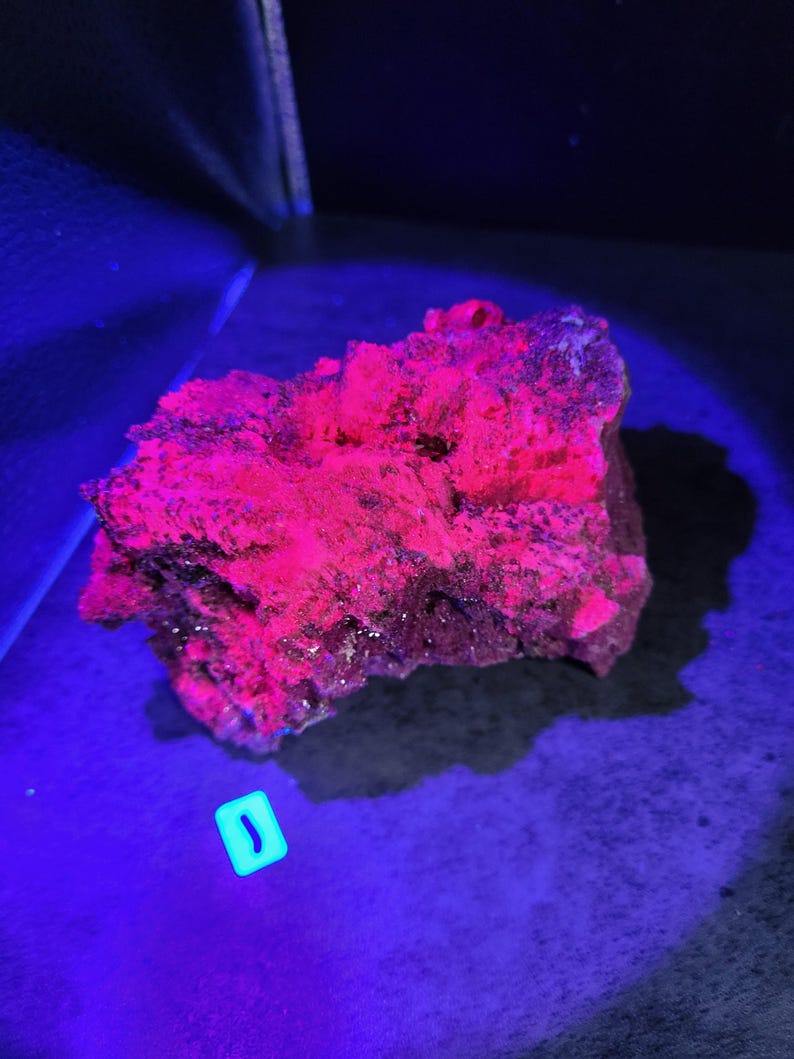 May include: A close-up of a rock formation illuminated by a black light, revealing vibrant pink and red fluorescence. The rock has a rough, textured surface with dark areas. A small, glowing, rectangular object is in the lower left corner.