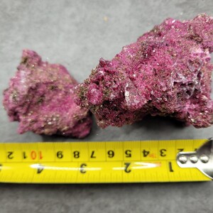 May include: Two pieces of textured, purplish-red rock with a yellow measuring tape. The tape shows the rocks are approximately 4 inches long. The rocks have a rough, porous surface and are likely a type of coral or mineral.