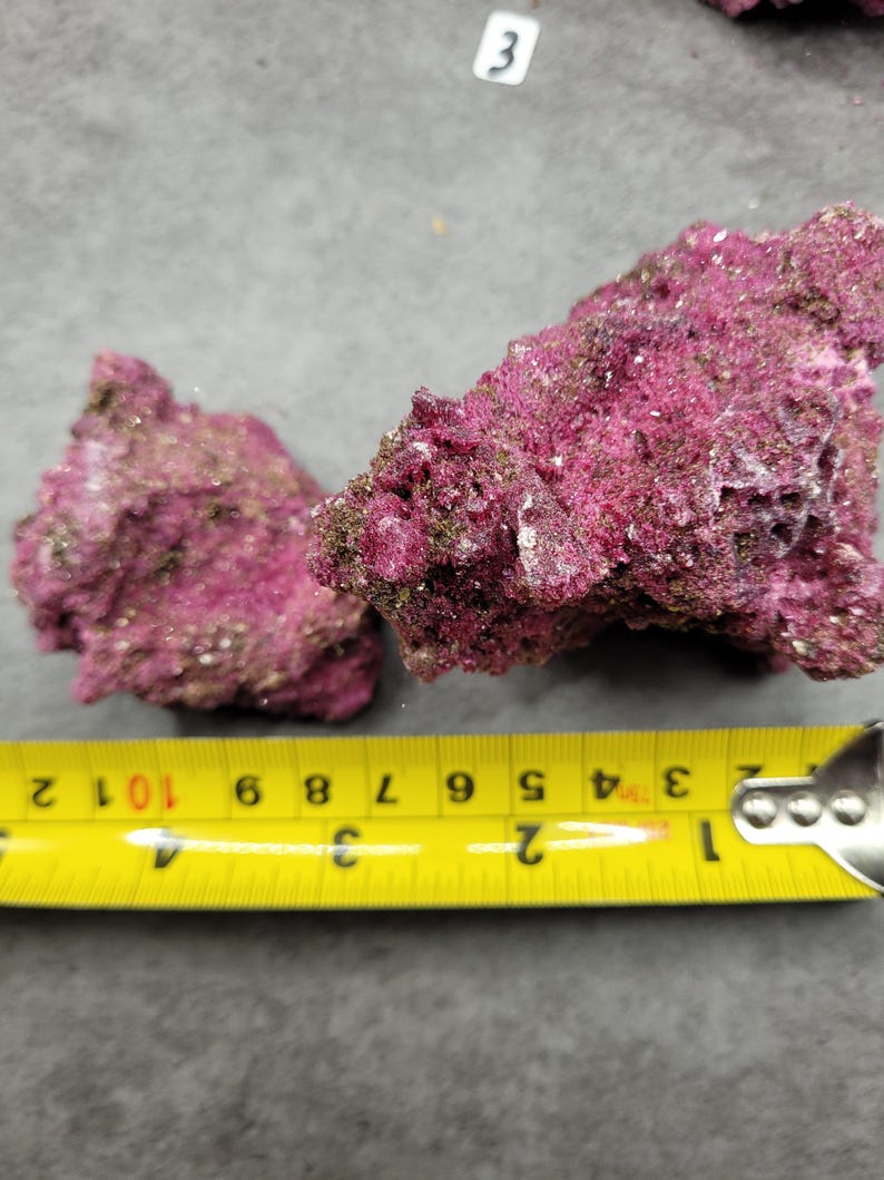 May include: Two pieces of textured, purplish-red rock with a yellow measuring tape. The tape shows the rocks are approximately 4 inches long. The rocks have a rough, porous surface and are likely a type of coral or mineral.