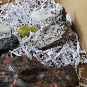Variety box of crystal dragon heads