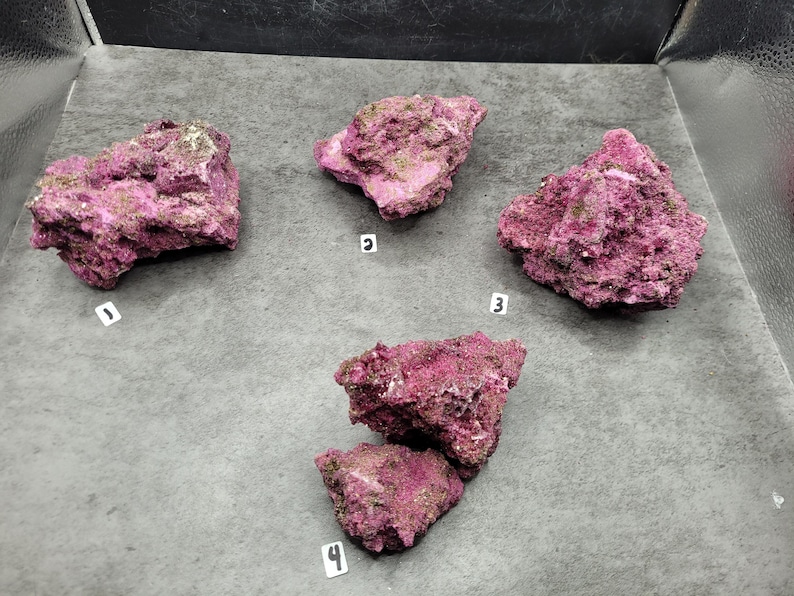 May include: Four pieces of vibrant, textured, pink rock formations, numbered 1 through 4, are displayed on a gray surface. The rocks have a rough, porous appearance with hints of green and brown. The image is well-lit, highlighting the natural colors and textures.