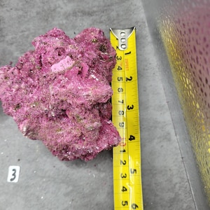 May include: A vibrant, textured, pinkish-purple rock formation. A yellow tape measure shows the rock is approximately 6 inches long. The rock has a rough, uneven surface with small, light-colored inclusions. The number "3" is visible on a small white label.
