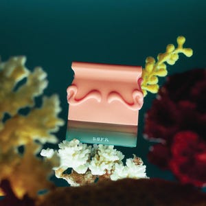 May include: A coral-colored squeegee with a decorative top and a teal-colored bottom. The text "5.0.FR" is printed on the bottom. The squeegee is surrounded by coral and other underwater plants against a teal background.