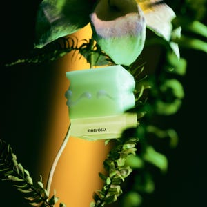 May include: A pale green soap bar with a unique, uneven shape and white decorative details. It rests on a light yellow rectangular object bearing the word "MORFOSIA". The image is set against a backdrop of green foliage and a yellow background.