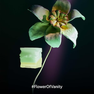 May include: A large, stylized flower with green and yellow petals against a dark backdrop. A light green, square-shaped object is in front of the flower. The text "#FlowerOfVanity" is at the bottom of the image.