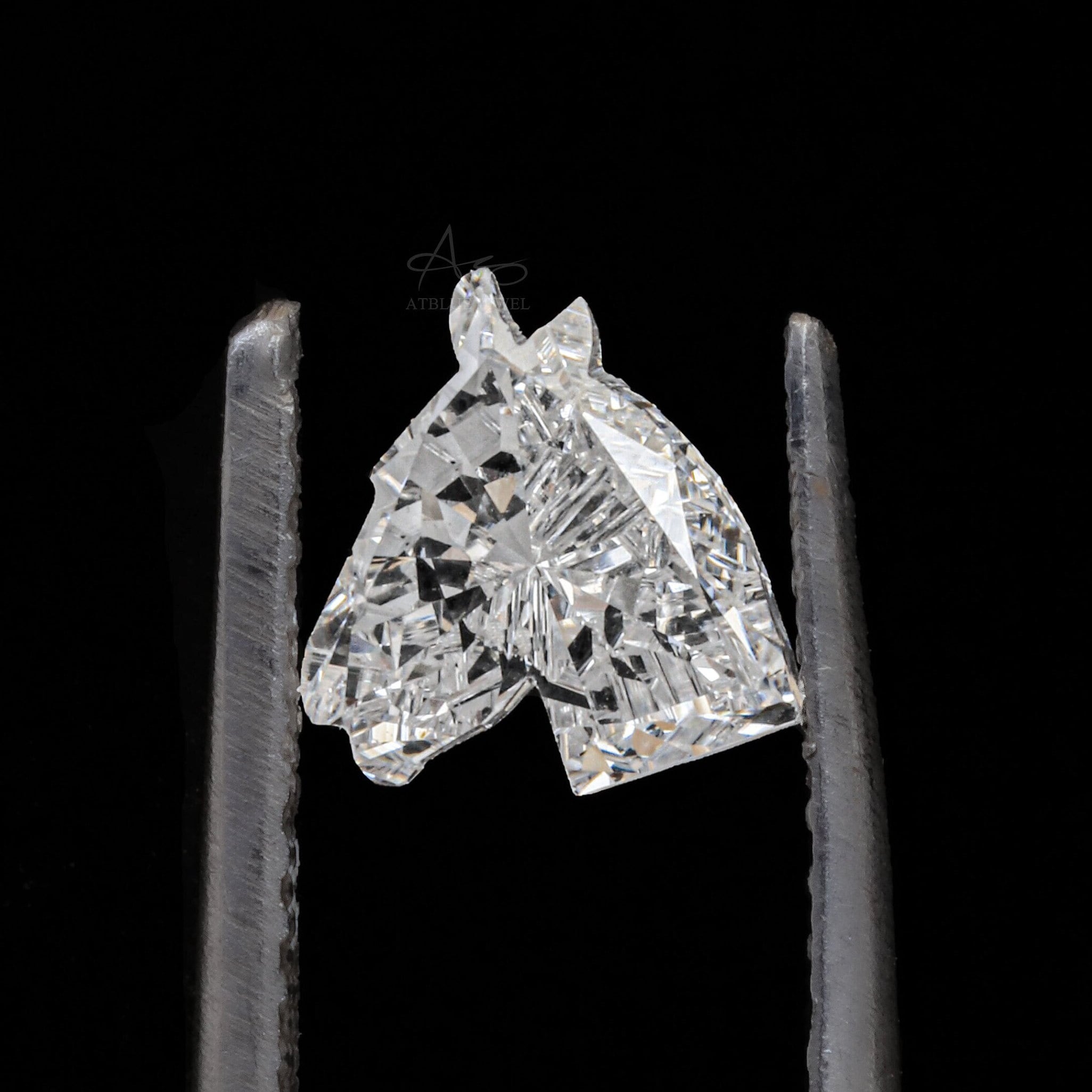 Silver Tone Engraved 3x7\
