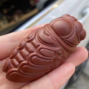 May include: A reddish-brown, carved cicada figurine. The insect is detailed with textured wings and body segments. The figurine is held in a hand, showcasing its size and intricate design. The cicada is a symbol of transformation and renewal.