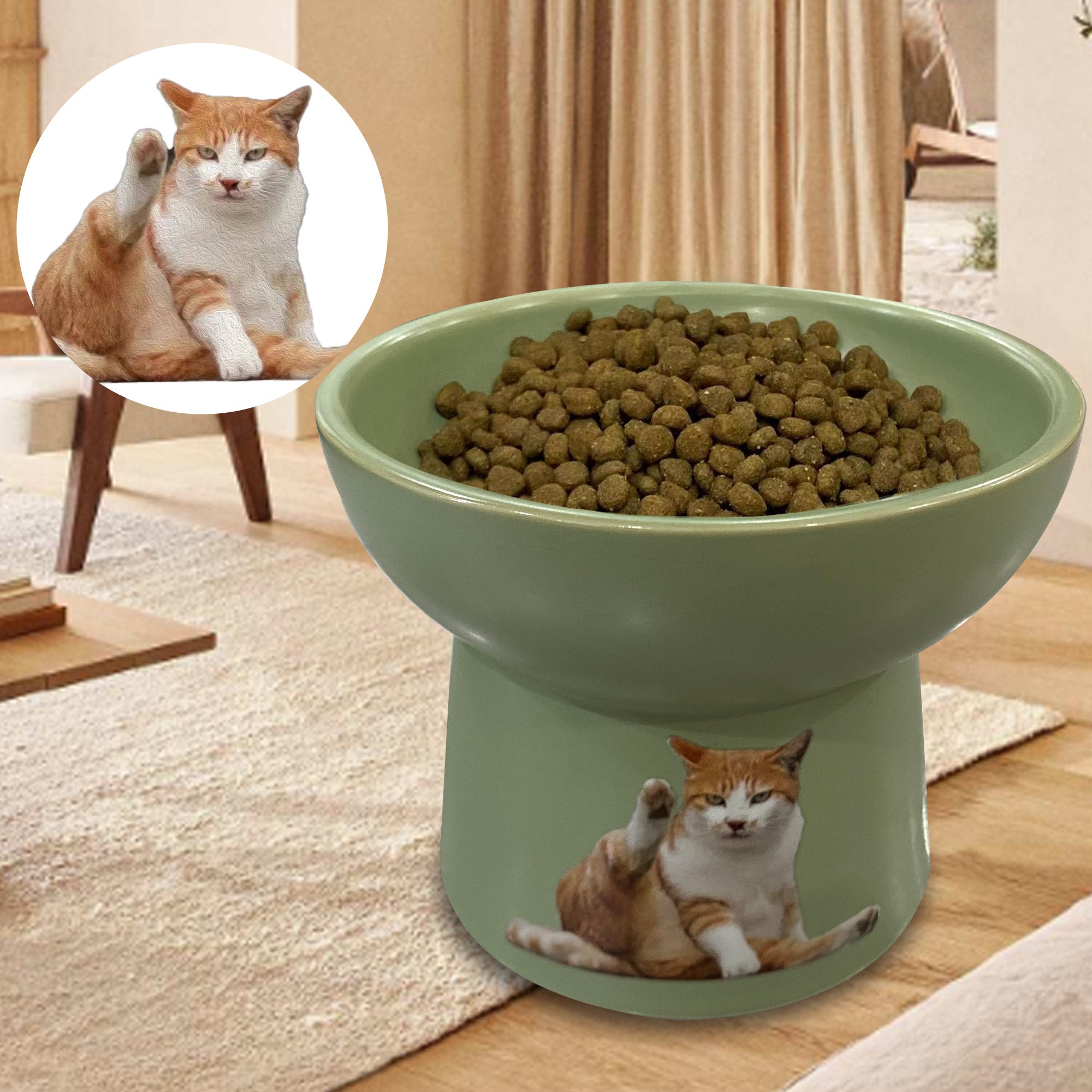 Chow Meow: Modern Elevated Cat Feeder