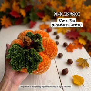 May include: A handmade orange crochet pumpkin with green leaves and a brown stem. The pumpkin measures approximately 6.7 inches by 6.7 inches. The background includes fall leaves and chestnuts. Text on the image reads "Wyshine Crochet".