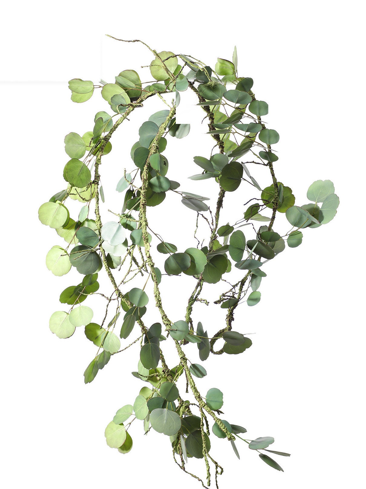 Eucalyptus Leaf Vine Fake Leaf Plant Rattan Craft Artificial Etsy