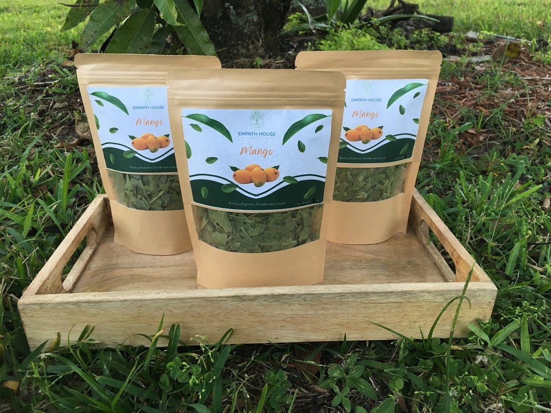 Freshly Dried Mango Leaf Herbal Tea no Chemicals Sprayed/used Florida Grown USA Vitamins Vegan