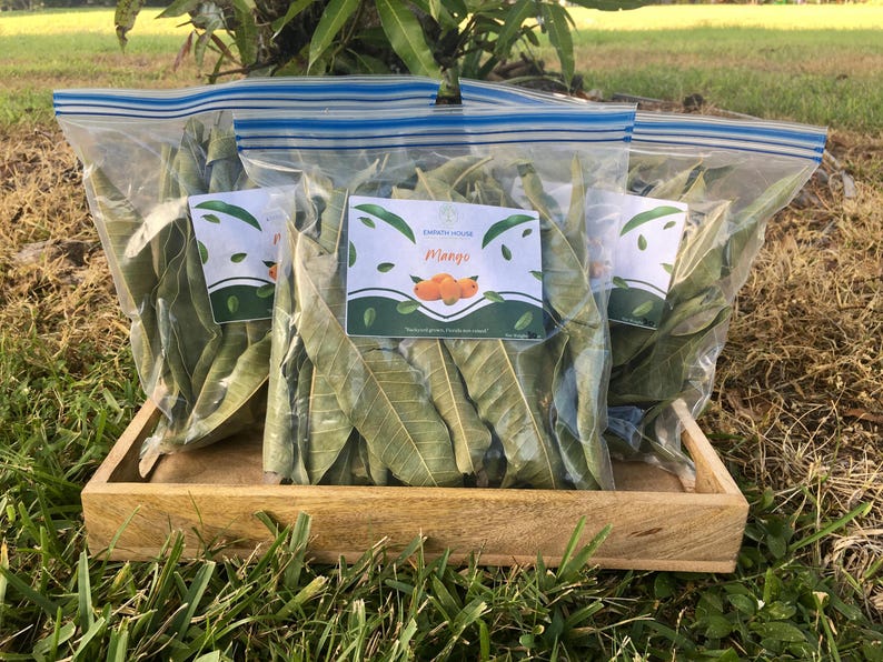 Organic Moringa Capsules, Size "0", 500mg, Freshly Made, Vegetarian Superfood afbeelding 10