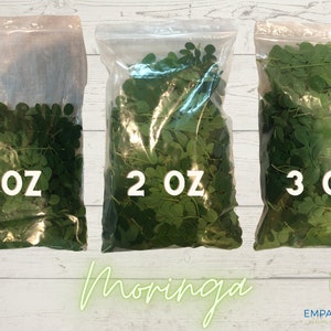 Fresh Moringa Oleifera Leaves: Freshly Picked, Florida Grown, No Chemicals, Herbal Tea