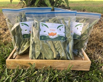 Té de hojas de mango: hojas de mango enteras y secas, sin químicos, cultivado en Florida, con vitaminas, vegano, minerales, té natural, envío gratuito.