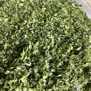 Op de afbeelding: Een close-up afbeelding van een stapel gedroogde moringa bladeren. De bladeren zijn een levendige groene kleur en lijken fijn gehakt te zijn.