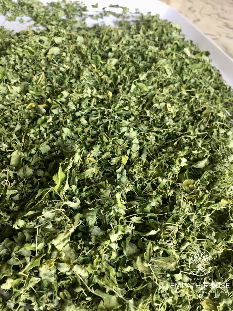 Op de afbeelding: Een close-up afbeelding van een stapel gedroogde moringa bladeren. De bladeren zijn een levendige groene kleur en lijken fijn gehakt te zijn.