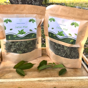 Cullen Mint 1oz (Lippiaalba) Leaves FRESHLY DRIED (No chemicals sprayed/Used) Florida Grown USA ~ Jamaican Tea Natural Free Shipping
