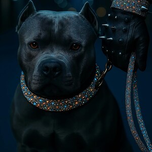 May include: A dark grey dog wearing a jewelled collar and leash. The collar and leash are decorated with sparkling gems in shades of blue, orange, and gold. The handler's black leather glove has matching jewelled accents and silver spikes.