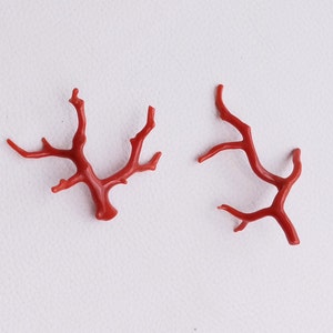 BRILLIANT !! 35.30 Cts, 100% Natural Italian Red Coral Gemstone Loose Branch Polished TREE, AAA+++ Quality Coral Stick Smooth Gemstone A575