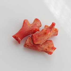 100% Natural Italian Coral Rough Loose Gemstone, Red Coral Rough 15.70Cts 3Pcs Small Sticks, Deep Sea Nice Coral Branches Rough Gemstone A16