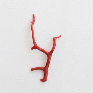 Red Coral Well Polished Loose Branch, 11.15Cts, BEAUTIFUL!!.. Top Quality Smooth Gemstone, 100% Natural Italian Polished Rough Stick A-358
