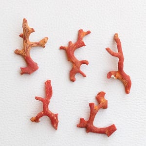 5 Stück, Korallenstick, 100% Natürliche Italienische Koralle Edelstein, Lose Rote Korallen Stick Äste, Rote Korallen Rohstäbe, Mittelmeer Koralle A422