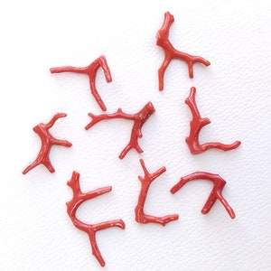 61.5 Karat 8-teiliger italienischer Korallenast-Korallenstab | Rote Koralle | Koralle polierter Edelstein | Schmuckherstellung. 15 X 33 Bis 33 x 19 MM A543