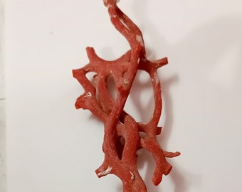 Natural Red Coral Branch, Mediterranean Sea, Unpolished Gemstone, Jewelry Making A115