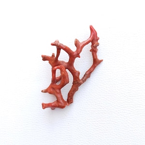 Big Size..... Coral Vintage Branch, 100% Natural Italian Coral Gemstone Loose Branch Polished AA++ Quality Coral Stick Smooth Gemstones A576