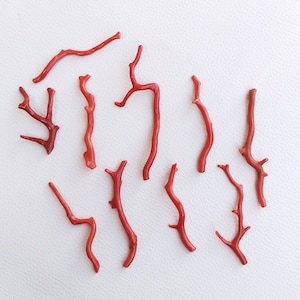Dark Red Coral, 100% Natural Italian Red Coral Gemstone Loose Long Twisted Branches Polished AAA++ Quality Coral Stick Smooth Gemstones A560