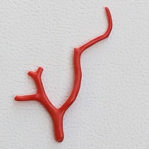 Red Coral Branch Gemstone, Polished Italian Coral Stick (13.65 Cts) A352