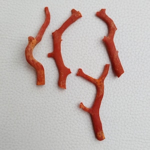 44.05 Carat Of Italian Coral Branch | Coral Stick | Red Coral | Coral Smooth Red Coral Stick Unpolished Coral Stick Lot Jewelry Making A883