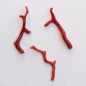 100% Natural Italian Red Coral Gemstones, Red Coral Loose Rough AAA+ Quality Coral Stick Gemstones Red Coral Rough Gemstone Coral Stick A261