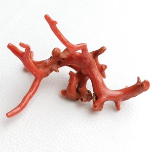 Natural Italian Coral Gemstone Branch, Polished Coral Stick A571