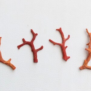 Natürliche rote Korallenzweigstäbchen, italienischer Edelstein, 48,95 cts A430