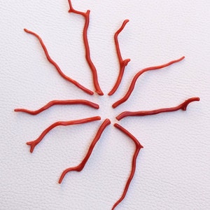 Red Coral Long Branches, 100% Natural Italian Coral Gemstone Loose Branch Polished AA+ Quality Coral Stick Gemstones For Making Jewelry A288