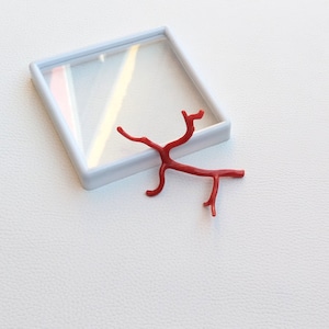 20.360Ct UNIQUE, 100% Natural Italian Red Coral Gemstone Loose Branch Polished AAA+ Quality Coral Stick Smooth Gemstone Red Coral Stick A244
