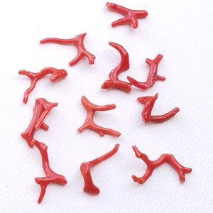 CORAL.. 56.90 Cts 100% Natural Italian Coral Gemstone Loose Branch Polished AA+ Quality Red Coral Stick Smooth Gemstone 15x4 To 25x7 MM A550