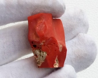 Large Red Coral Rough, Mediterranean AAA Quality, 109.10 Carats