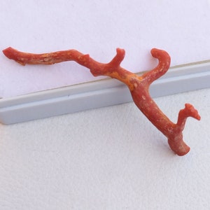 Long Coral.. 100% Natural Italian Red Coral Gemstone Loose Branch Non Polished AAA+ Quality Coral Stick Gemstones Red Coral Non Polished A41