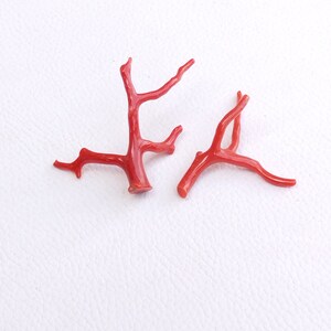 BRILLIANT.. 24.25 Cts Natural Italian Red Coral Gemstone Loose Branch Polished AAA+ Quality Coral Stick Smooth Gemstone 22x29--40x28 MM A555