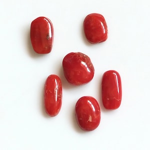 Puede incluir: Seis piedras de coral rojo lisas de diferentes tamaños y formas. Las piedras están dispuestas sobre una superficie blanca.