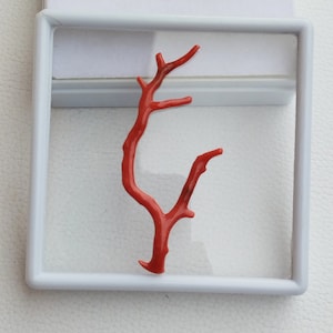 Beautiful Design !! 100% Natural Italian Red Coral Gemstone Loose Branch Polished AAA+ Quality Coral Stick Smooth Gemstones 75--26 MM A615