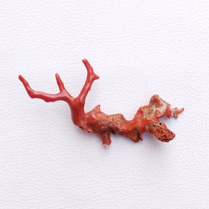 Natural Red Coral Branch Gemstone, Polished Stick, 55.75 Carats A573