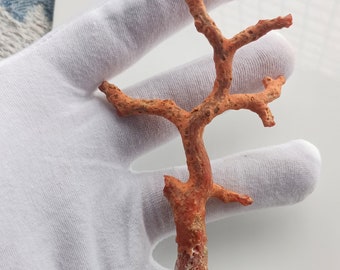 Corail Naturel Brut Méditerranéen Ancien - Environ 45 Carats - Provenance Italie - Pièce Unique