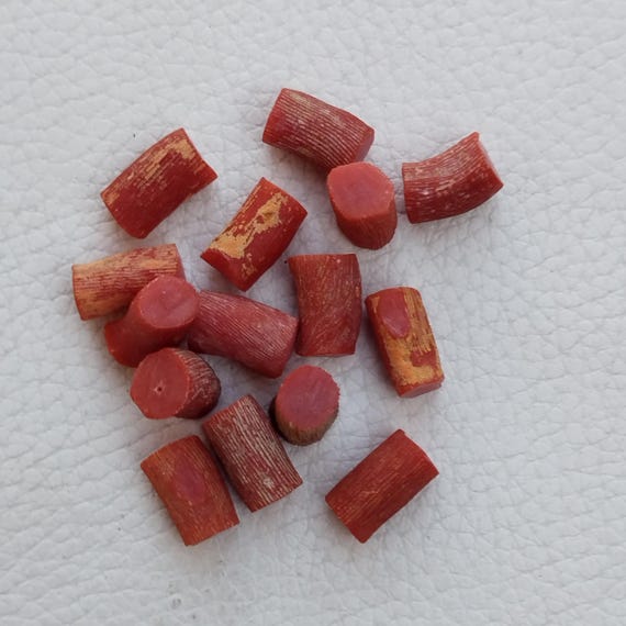 Lot De Corail Méditerranéen Naturel Brut 50 Carats - Rouge - Non Poli - Gemmes Mirza